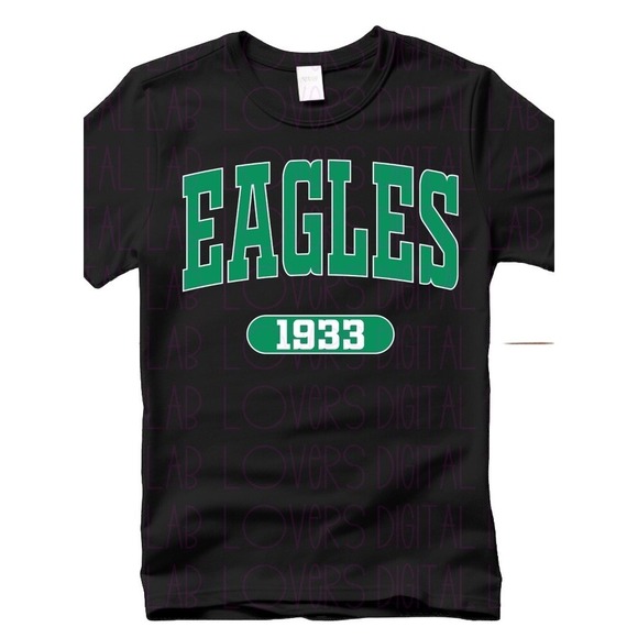 Gildan Other - Philadelphia Eagles Team T-Shirt Black Green Size 2XL…